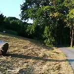 Séjour à la ferme Agrisuite Le Querce Del Vareglio