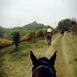 Agrisuite Le Querce Del Vareglio Canale