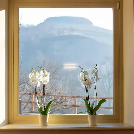 Agrisuite Le Querce Del Vareglio Vakantieboerderij Canale