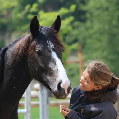 Agrisuite Le Querce Del Vareglio 카날레