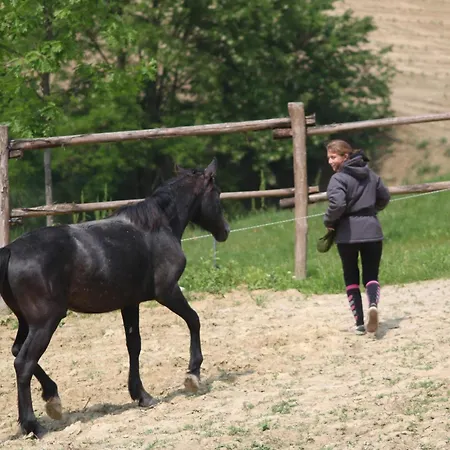 Le Querce Del Vareglio Alloggio per agriturismo Canale