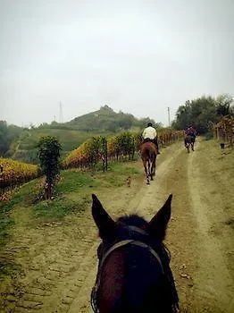Le Querce Del Vareglio Canale