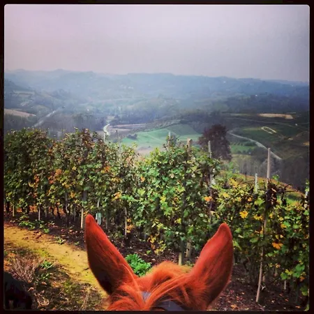 Agrisuite Le Querce Del Vareglio 팜스테이